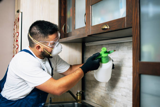 Best Pest Control for Restaurants  in Clifton, TX