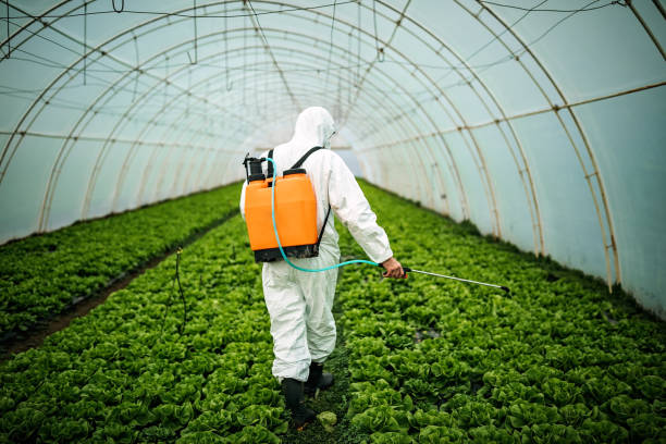 Best Pest Inspection Near Me  in Clifton, TX