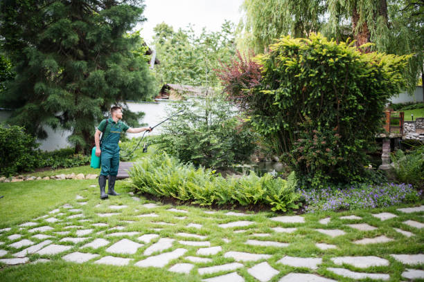 Best Pest Removal Services  in Clifton, TX