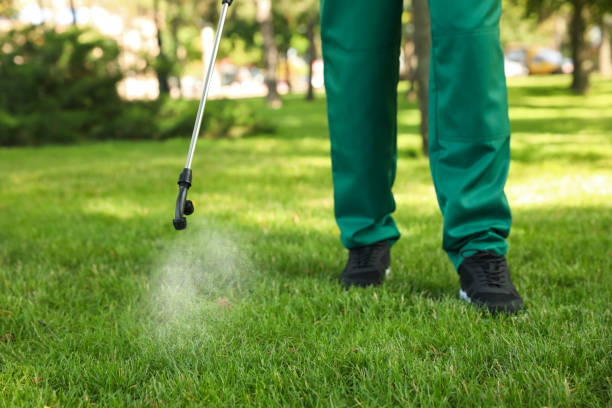 Best Bed Bug Extermination  in Clifton, TX