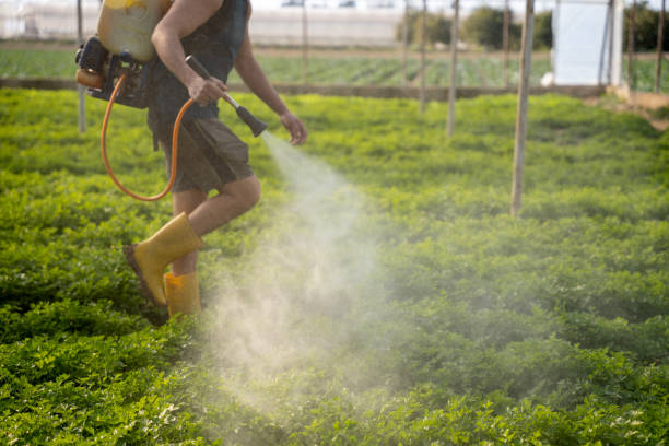  Clifton, TX Pest Control Pros