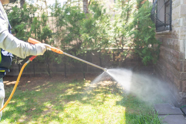 Wasp Removal Services in Clifton, TX