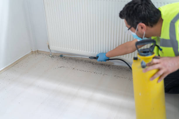 Best Residential Pest Control  in Clifton, TX