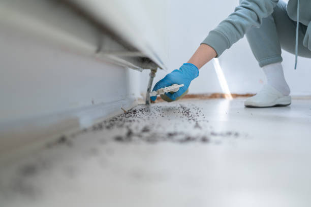 Best Mosquito Control Services  in Clifton, TX