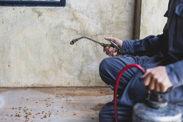 Best Commercial Pest Control Services  in Clifton, TX